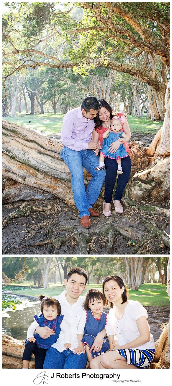 Extended Family and Multi Generation Family Portrait Photography Sydney Centennial Park Sydney